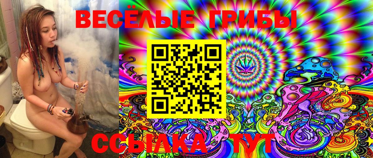 Галлюциногенные грибы Cubensis Качканар