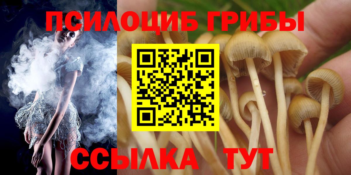 Галлюциногенные грибы Cubensis  Вход с VPN  Качканар 